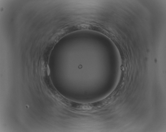 X0000077360223200611031854