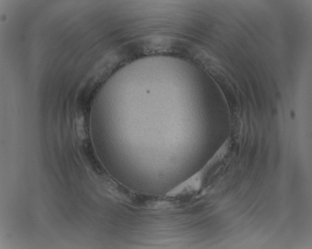 X0000077360224200611031854