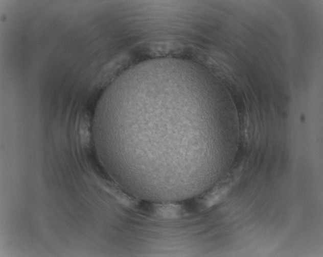 X0000077360226200611031854