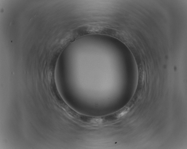 X0000077360227200611031854