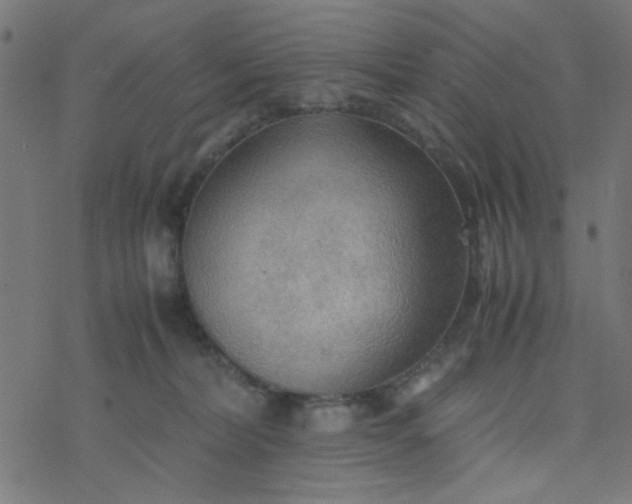 X0000077360228200611031854