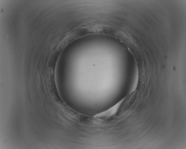 X0000077360229200611031854