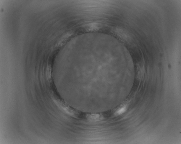 X0000077360230200611031854