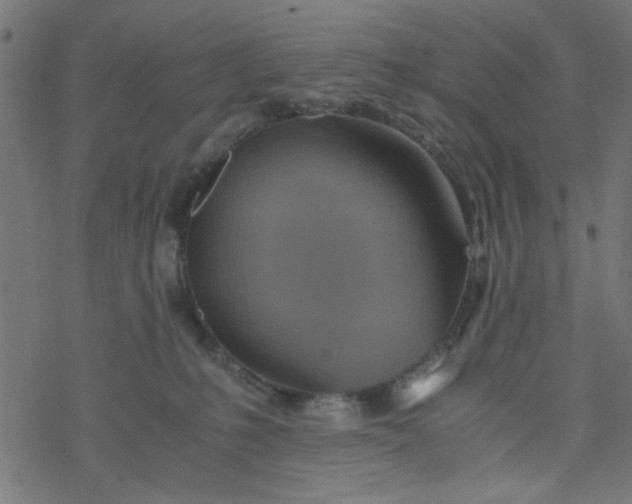 X0000077360231200611031854