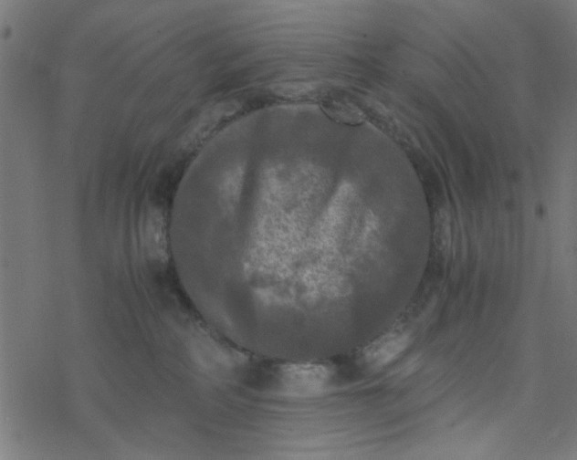 X0000077360234200611031854