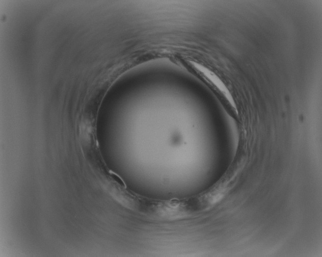 X0000077360235200611031854