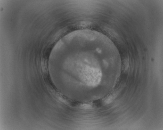 X0000077360236200611031854