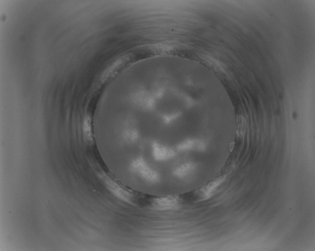 X0000077360238200611031854