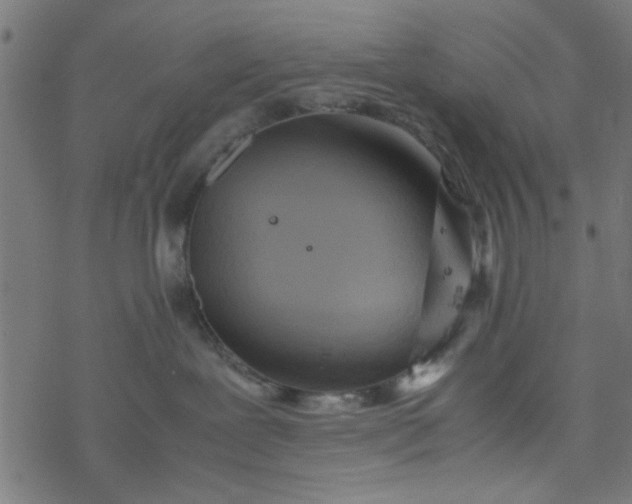 X0000077360239200611031854