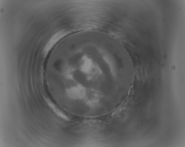 X0000077360242200611031853