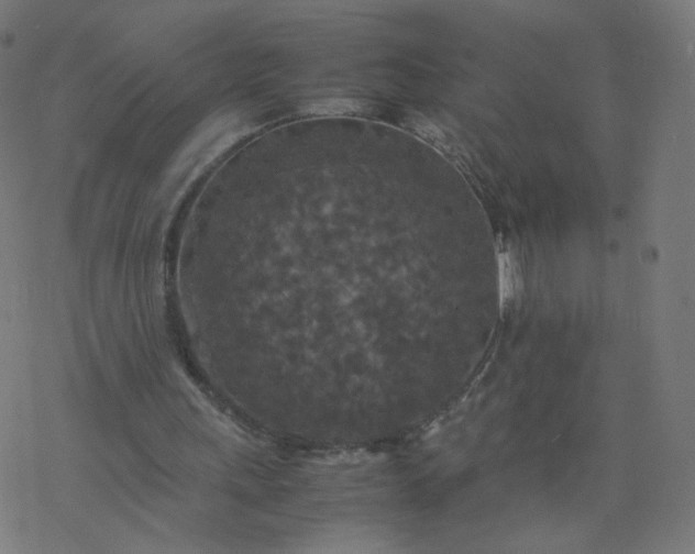 X0000077360243200611031853