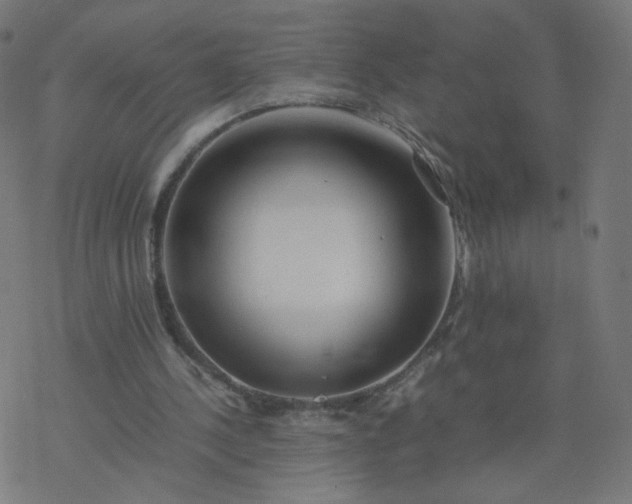 X0000077360244200611031853