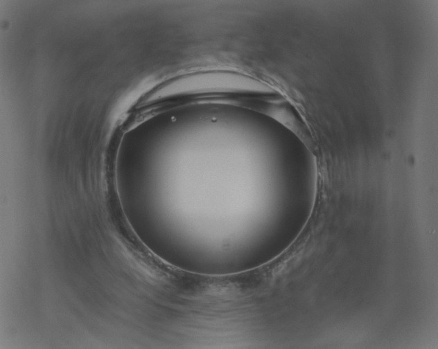 X0000077360248200611031853