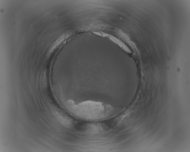 X0000077360250200611031853