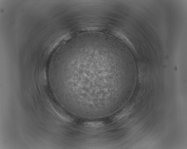 X0000077360251200611031853