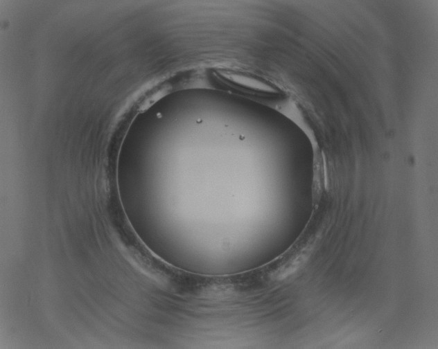 X0000077360252200611031853