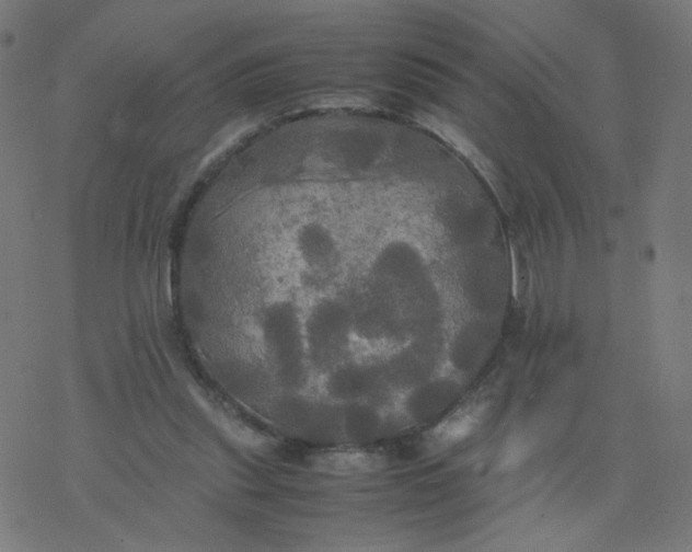 X0000077360253200611031853