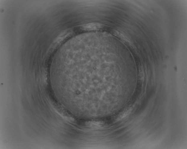 X0000077360255200611031853