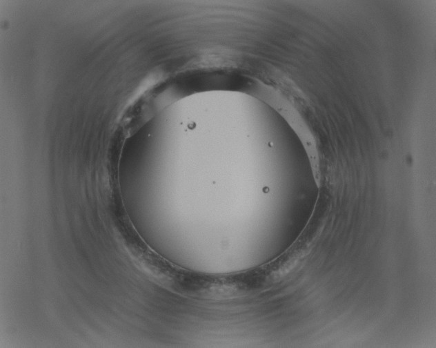 X0000077360256200611031853