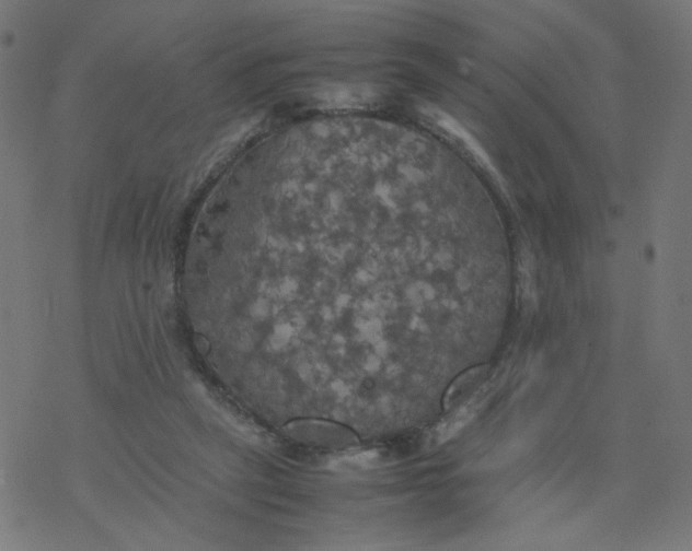 X0000077360257200611031853