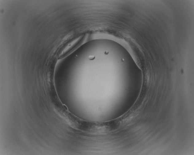 X0000077360260200611031853