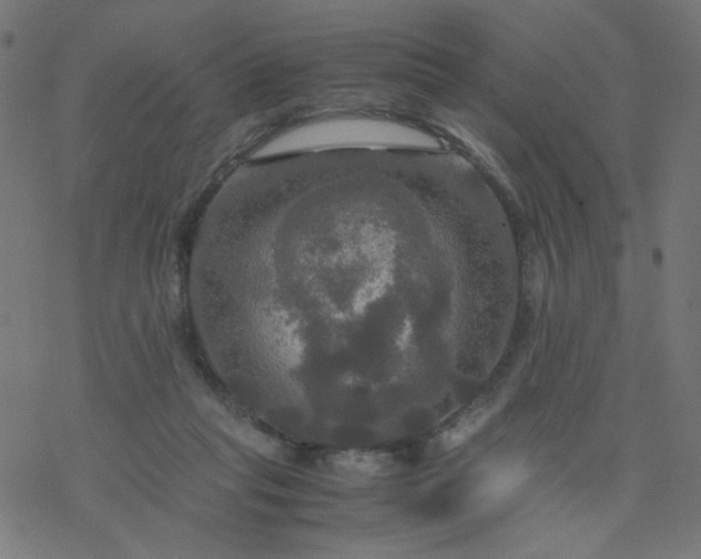 X0000077360261200611031853