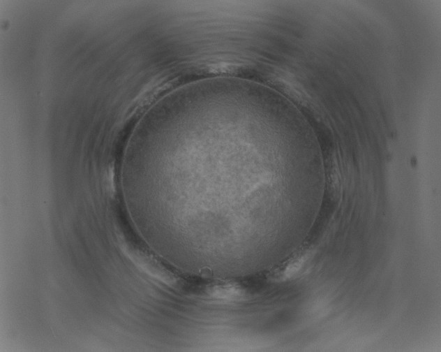 X0000077360262200611031853