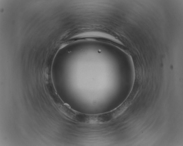 X0000077360264200611031853