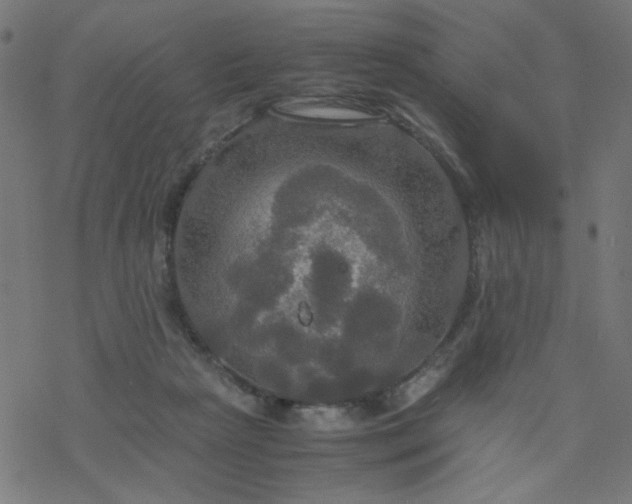 X0000077360265200611031853