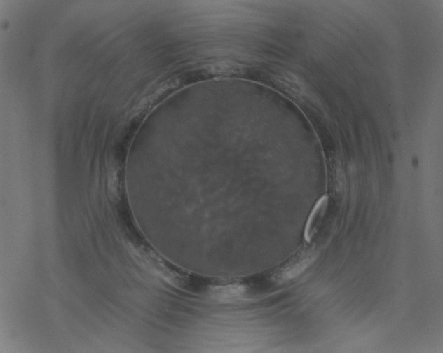 X0000077360266200611031853