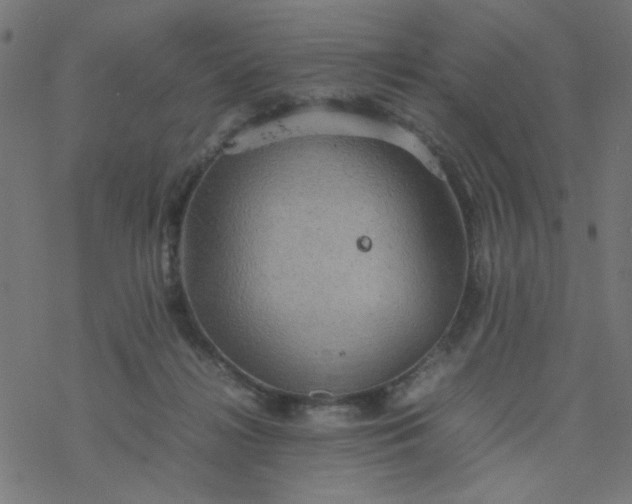 X0000077360268200611031853