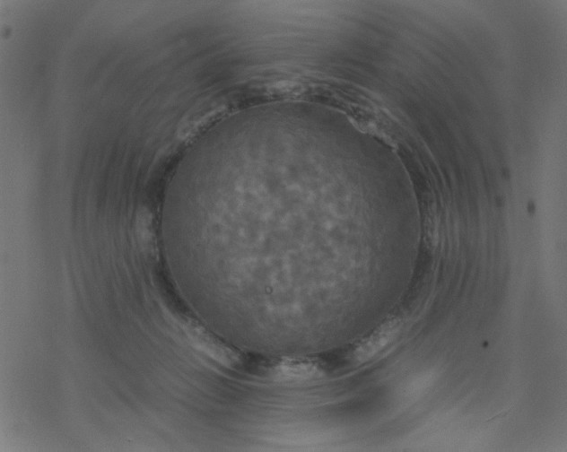 X0000077360270200611031854