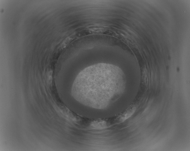 X0000077360271200611031854