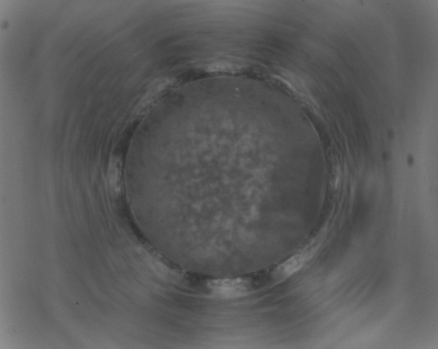 X0000077360273200611031854