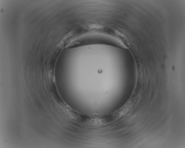 X0000077360276200611031854