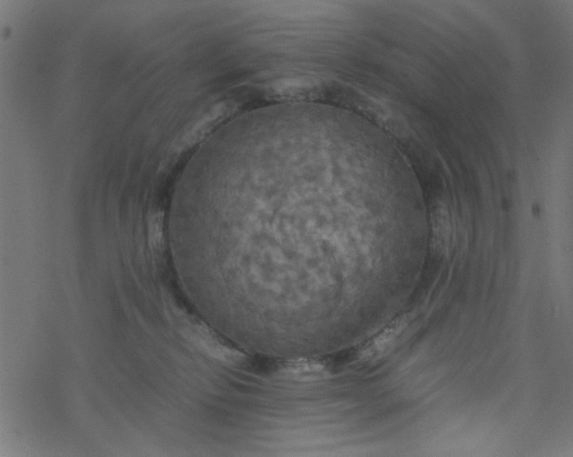 X0000077360278200611031854