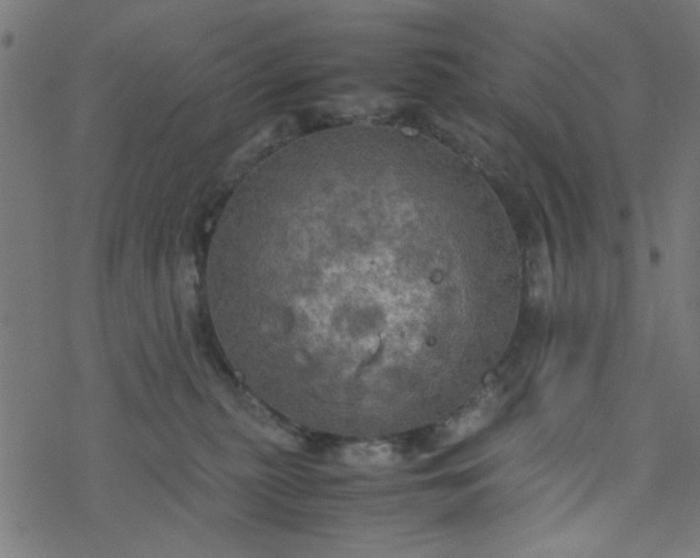 X0000077360279200611031854