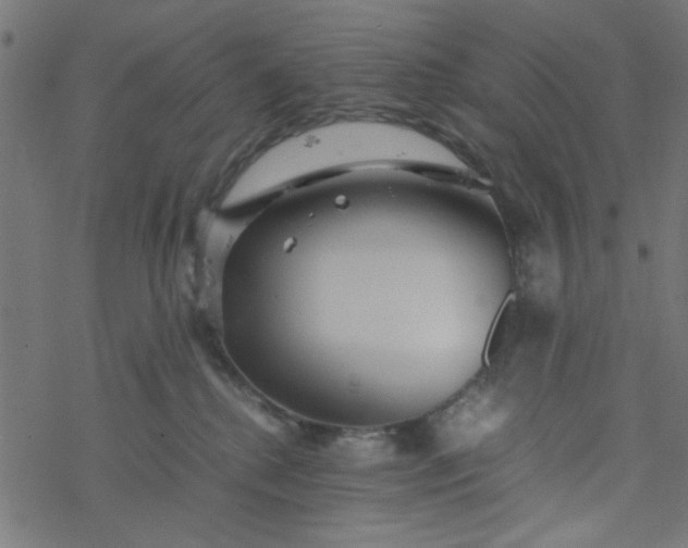 X0000077360280200611031854