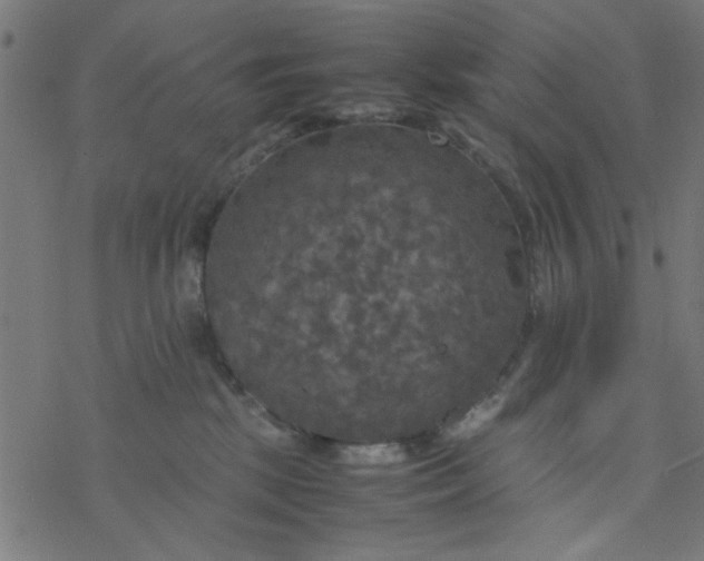 X0000077360281200611031854