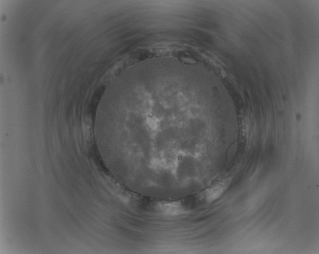 X0000077360283200611031854