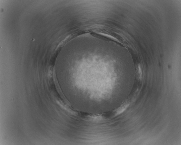 X0000077360284200611031854