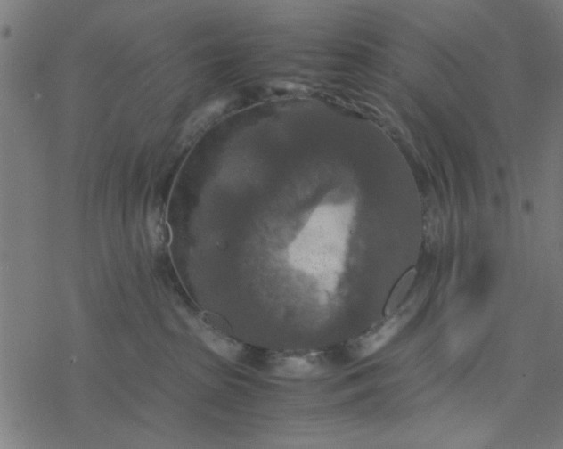 X0000077360285200611031854