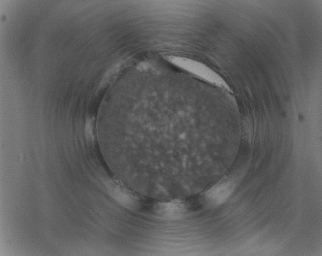 X0000077360286200611031854