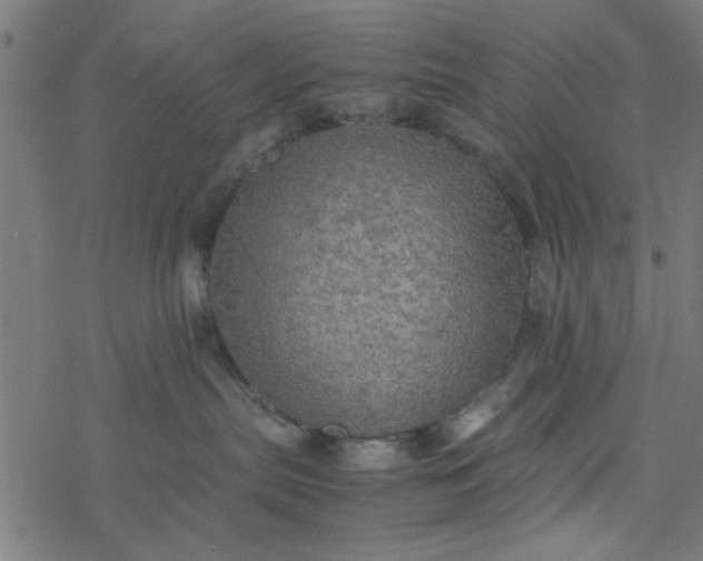 X0000077360287200611031854