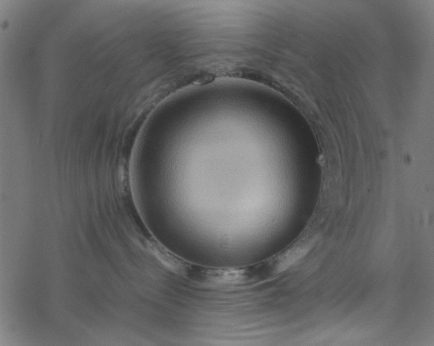 X0000077360288200611031854