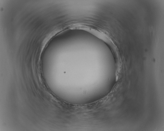 X0000077360289200611031853