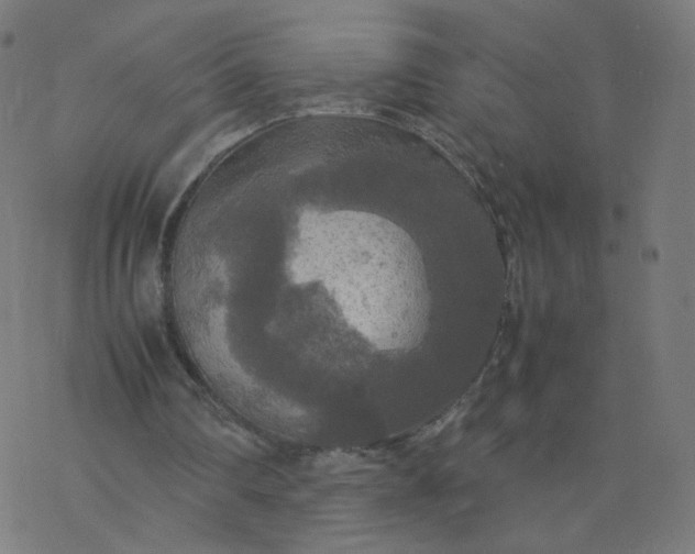 X0000077360290200611031853