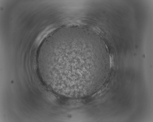 X0000077360291200611031853