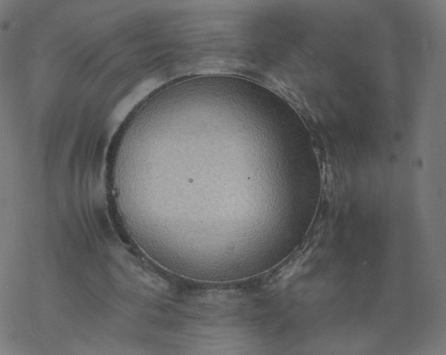 X0000077360292200611031853