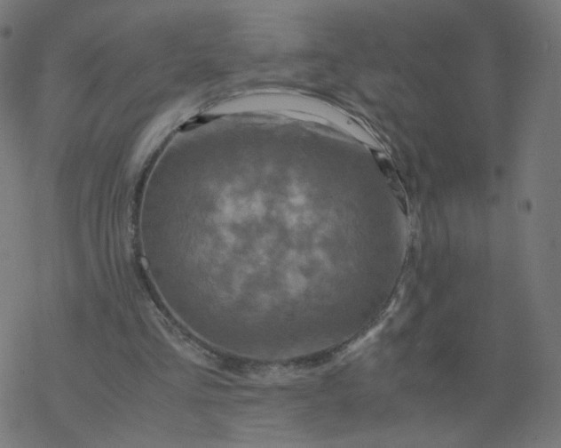 X0000077360293200611031853